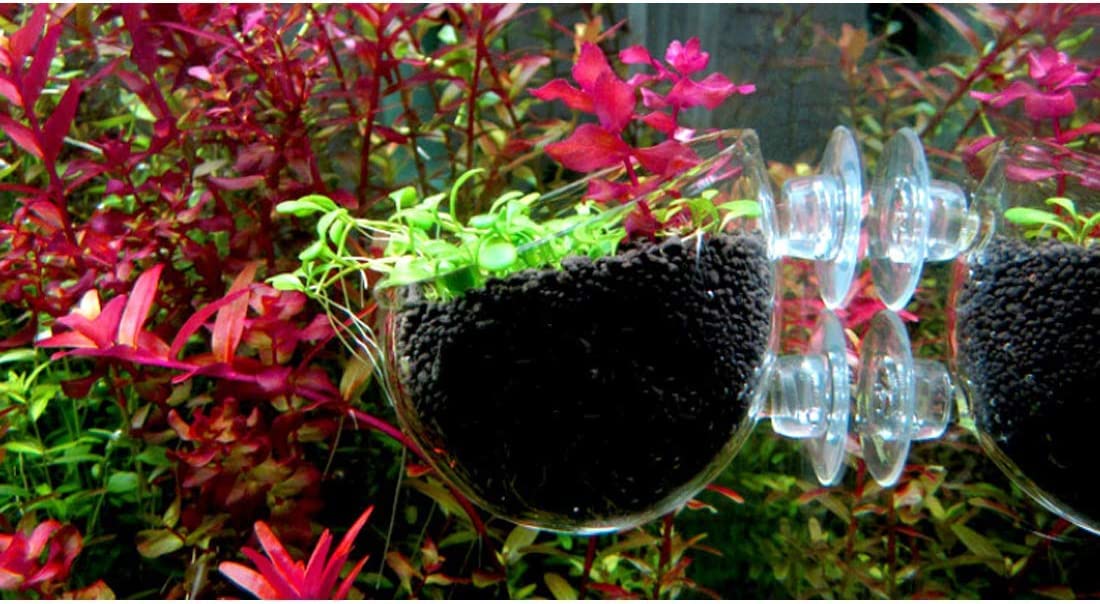 2 Aquarium Plant Holder for Fish Tank, Fish Tank Ornament for Aquascape Decoration, Small Glass Fish Tank Plant Stand for Freshwater and Marine Aquarium (2 Pack)