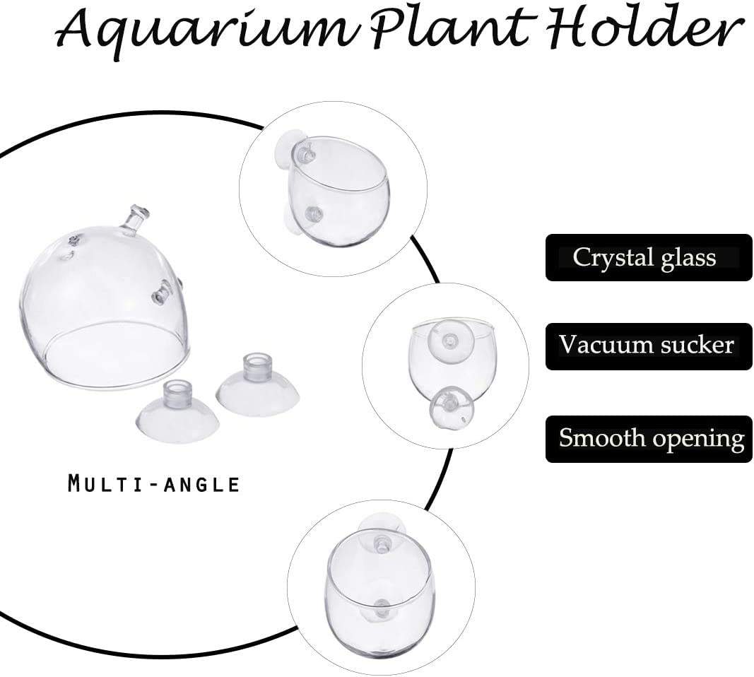 2 Aquarium Plant Holder for Fish Tank, Fish Tank Ornament for Aquascape Decoration, Small Glass Fish Tank Plant Stand for Freshwater and Marine Aquarium (2 Pack)