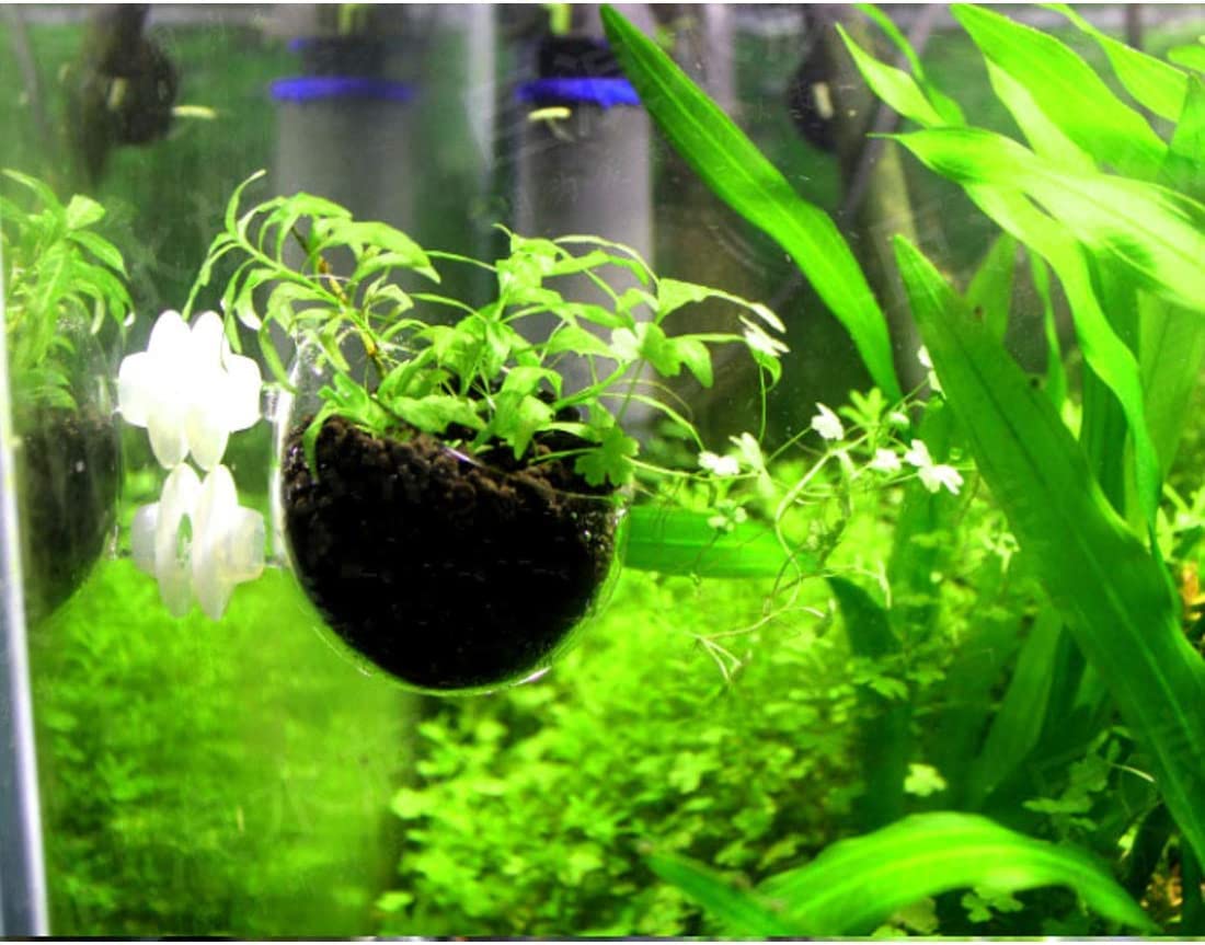 2 Aquarium Plant Holder for Fish Tank, Fish Tank Ornament for Aquascape Decoration, Small Glass Fish Tank Plant Stand for Freshwater and Marine Aquarium (2 Pack)