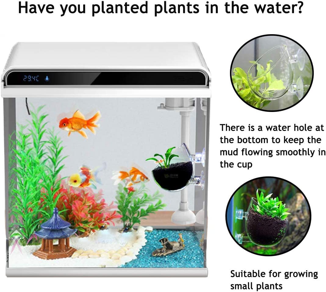 2 Aquarium Plant Holder for Fish Tank, Fish Tank Ornament for Aquascape Decoration, Small Glass Fish Tank Plant Stand for Freshwater and Marine Aquarium (2 Pack)