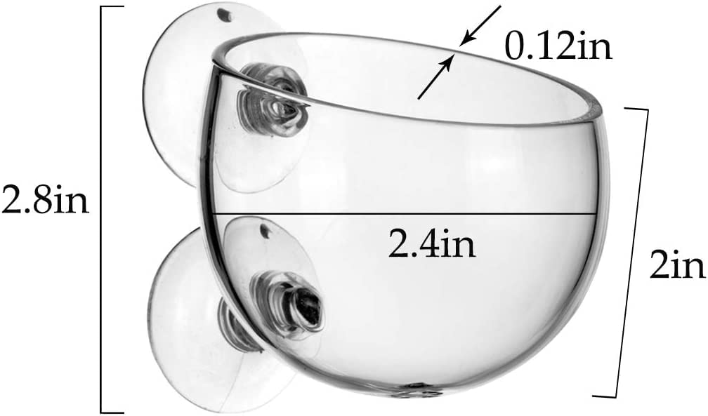 2 Aquarium Plant Holder for Fish Tank, Fish Tank Ornament for Aquascape Decoration, Small Glass Fish Tank Plant Stand for Freshwater and Marine Aquarium (2 Pack)