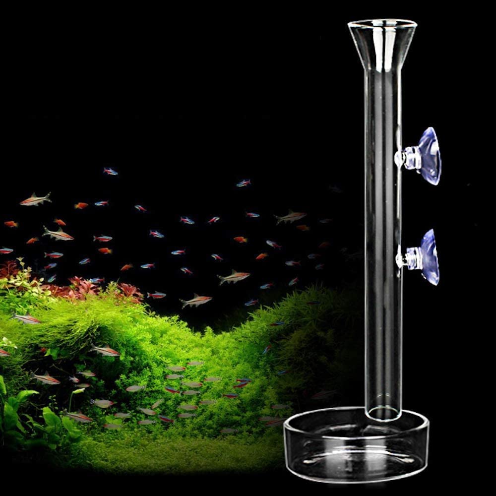 Aquarium Shrimp Feeding Tube and Dish, Clear Crystal Glass Shrimp Feeder Tube Tray for Fish, Clear Glass Aquarium Tube, Fish Tank Waterfall Pipe for Freshwater and Marine Aquarium (8 in)