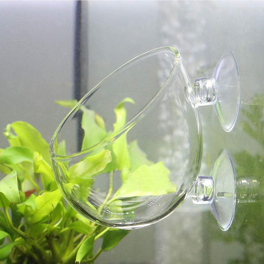 2 Aquarium Plant Holder for Fish Tank, Fish Tank Ornament for Aquascape Decoration, Small Glass Fish Tank Plant Stand for Freshwater and Marine Aquarium (2 Pack)